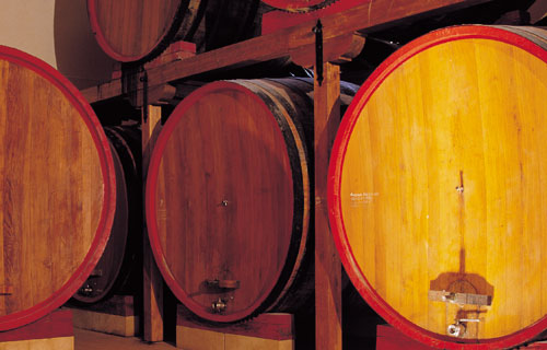 Marsala DOC wine barrels