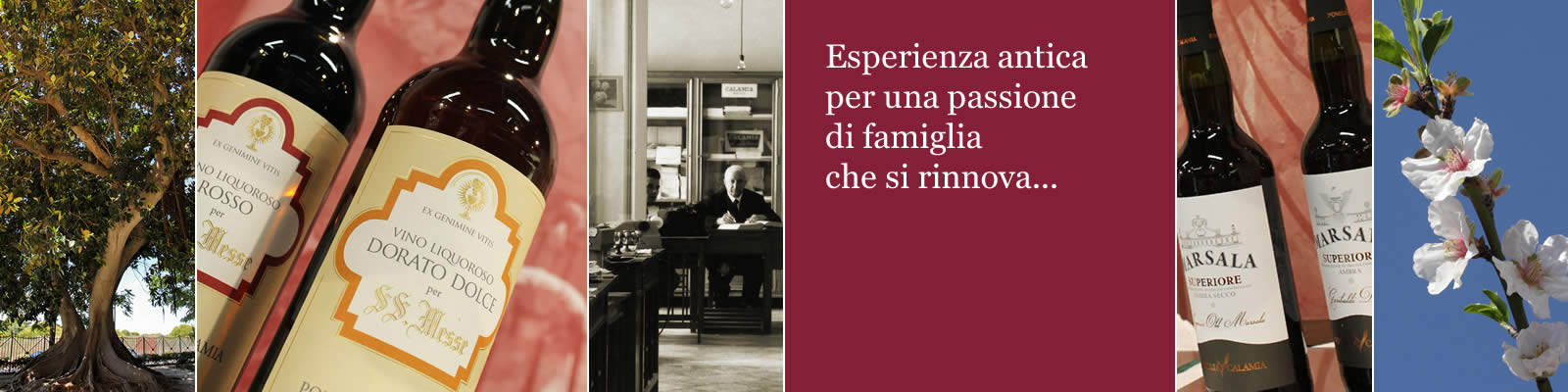 Esperienza antica per una passione di famiglia che si rinnova