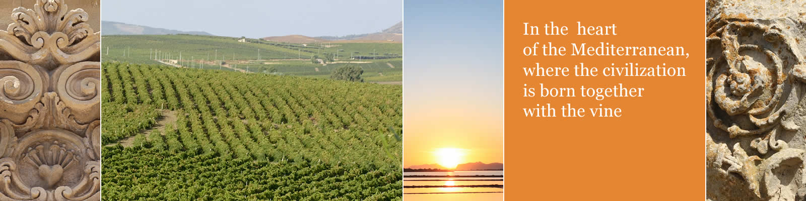 In the heart of the Mediterranean, where the civilization is born together with the vine