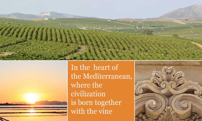 In the heart of the Mediterranean, where the civilization is born together with the vine