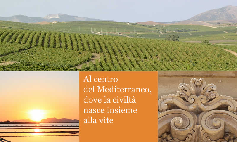 Al centro del Mediterraneo, dove la civilt&agrave; nasce insieme alla vite